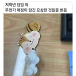 초등학교 저학년 담임 특징 이미지