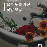 슬픈 뜻을 가진 꽃말 모음 이미지