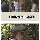 1톤짜리 바위로 짓눌린 조선 비석의 정체 이미지