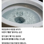 영미권에서 쓰는 화장실에 관련된 표현 하나.jpg 이미지