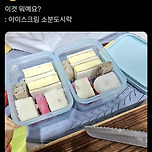 아이스크림 소분 도시락.twt 이미지