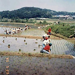 1985년 당시 서울 강남구 내곡동 모습 이미지