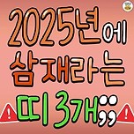 2025년 삼재 띠들 이미지