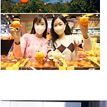 제주도 전체 수출품목 1위 ㄷㄷㄷ 이미지