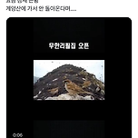 요즘 참새 근황.jpg 이미지