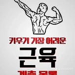 [건강][정보] 키우기 어려운 근육 목록 이미지