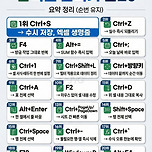 [정보] 엑셀 단축키 탑20 이미지