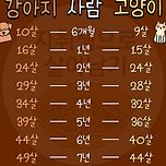 한눈에 보는 강아지&amp;고양이 나이표 이미지