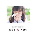 [투표] 코감기 vs 목감기 둘 중 더 힘든 것은? 이미지