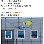 엄마! 내 회사 앞으로 와 이미지