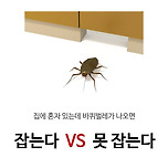 [투표] 집에 혼자있는데 바퀴벌레가 나오면 잡는다vs못잡는다 이미지