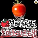 [정보] 토마토 물기 없이 자르는 법 이미지