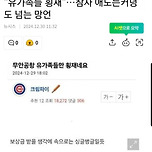 엠팍 제주항공 유가족 비난 글 작성자 수사중 이미지