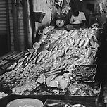 1972년 당시 서울 남대문시장 생선 가게 모습 이미지