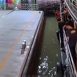 태국에서 '무모한 점프'로 물에 빠진 한국인 관광객 이미지