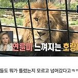 [예능] 나혼자산다 레전드 방송사고 이미지