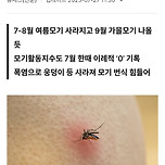 실시간 폭염으로 멸종중인 생물 ㅠㅠ 이미지