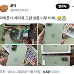 실물 깡패라는 아이폰17 세이지 색상.jpg 이미지