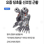 요즘 딩초들 신조밈 근황 이미지