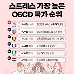 스트레스가 가장 높은 OECD 국가 순위 이미지