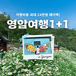 영암여행 원플러스원 (1+1), 24만원 페이백 혜택 (7.31~12.21) 이미지