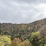 오대산 단풍산행 후기🍁 두 번째 도전 끝에 만난 절경 이미지