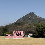 봄이 오면 북악산에 가야하는 이유 이미지