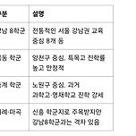 (챗지피티) 강남 8학군 이미지