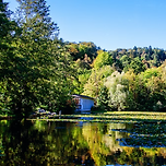 자연환경관리기술사 시험 응시 후기 및 공부법 시험 개요 및 시작 동기 이미지