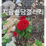 전화신점 내돈내산 후기 이미지