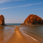 서해안의 바다와 꽃향기 가득한 여행지, 태안 가볼만한곳 베스트10 이미지