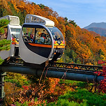 화담숲 모노레일 예약 방법, 꼭 알고 가셔야합니다. 이미지