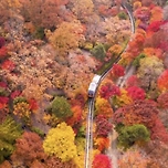 화담숲 예약하기 가는방법 예약하는 방법 완벽 가이드 이미지