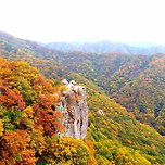 예술과 자연이 어우러진 문화 감성 여행지, 광주 가볼만한곳 베스트10 이미지