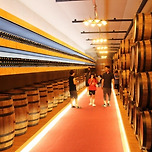 포도향과 산자락이 어우러진 힐링 여행, 영동 가볼만한곳 베스트10 이미지