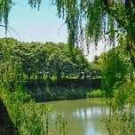 구리 가볼만한곳 베스트10 – 도시와 자연이 만나는 경계의 감성 여행 이미지