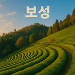 초록빛 힐링과 바다의 낭만, 보성 가볼만한곳 베스트10 이미지