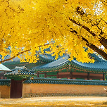 바다 숲 온천이 있는 남도 힐링 여행지, 장흥 가볼만한곳 베스트10 이미지