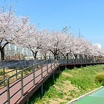 안양 가볼만한곳 베스트10 – 도시와 자연이 어우러진 휴식의 공간 이미지