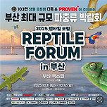 부산 최대 규모 렙타일 포럼!! 이미지