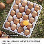 핫딜! 난각번호1번 계란 유정란 20구 달걀 무항생제 자연방사 국산 5320원 무료배송! 이미지