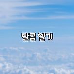 메일 문의 / sns 사이트 / 인스타그램 아이디 이미지
