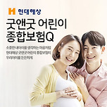 현대해상 태아보험 가입시기 이미지