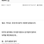 실수령 500의 삶.jpg 이미지