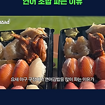 정신과 의사가 말하는 요즘 야구장에서 연어 초밥 파는 이유 이미지
