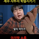 챗지피티에게 제주 사투리를 학습 시켜봤더니 이미지