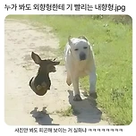 E에 기빨리는 I 이미지