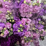 새로운 시작을 응원합니다. 사랑합니다.감사합니다. 이미지