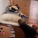 머리가 무거웠구나ㅎㅎㅎㅎ 이미지