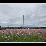 [경기 구리] 구리한강시민공원 산책 이미지
